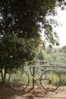 bicicletta bicicletta