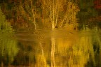 semplice autunno II
