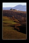 La pazienza, in verticale