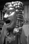 Faccia di bronzo