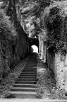 Foto fatta negli anni ottanta con Yashica FX-3 e 50mm