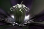 Lampi Di Luce Nel Buio