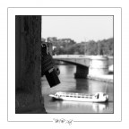 NSF Roma 2008