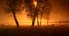 ieri sera in un parco di milano avvolto nella nebbia....