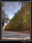 Autunno... Autunno...