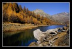 omaggio a cheroz