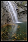 un girotondo di foglie e acqua