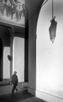 immagini di citta'