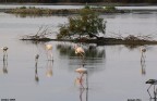 Saline priolo 1