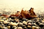 Novembre