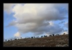 Tra cielo e terra