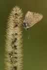 Sentirsi umidi