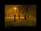 evening colors...