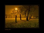 un parco a milano di sera...(ottobre 08)