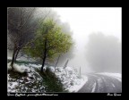 Piccola desaturazione... ;-)