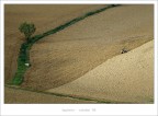 tempo di aratura