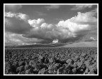 ...EARTH AND SKY...