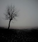 L'Inverno Del Nostro Scontento L'Inverno Del Nostro Scontento