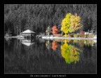 Di che colore  l'autunno?