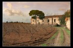Il mio autunno