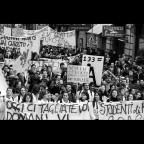 30.10.2008 Folla