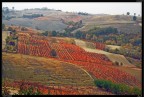Colli Tortonesi
