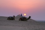 TRAMONTO NEL THAR DESERT vicino al confine fra 
India e Pakistan 
EF 24-105 L IS USM
ISO 100
105mm
f/7.1
1/500s
IS on
EV 1.00