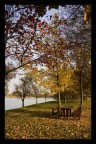 Parco di S.Lorenzo, Pegognaga (MN)
Autunno 2007

Commenti e critiche sempre ben accetti :)