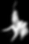 Luce di passione
