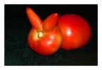 Un pomodoro un po' becco con un pomodoro normale han creato un lumacone.