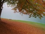 Colori nel silenzio