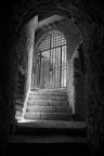 Luce