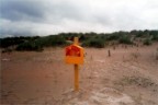 Salvagente su una spiaggia desolata
