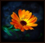i colori della luce