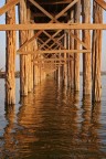 SOTTO IL PONTE