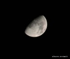  tutta colpa della luna, quando si avvicina troppo alla terra fa impazzire tutti. (William Shakespeare)