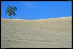 Il Solitario