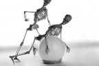 Puro still-life