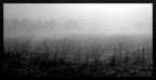 thedayafter