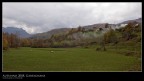 Autunno 2008 in Garfagnana.
Nikon D40, nikon 18-55 @ 22mm, f11 1/10, treppiedi.

Le critiche e i suggerimenti non possono farmi che piacere!
- sfoto