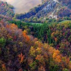 autunno 2008-5