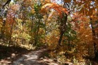 Falls in Pittsburgh - Frick Park