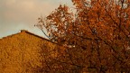 il mio autunno...