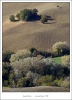 ...campo...