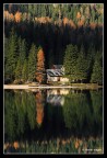 Riflessi