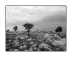 ...HARD LAND...
