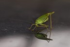 sguardo minaccioso