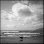 irlanda #19 irlanda #19