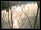 Reflections