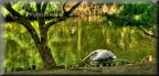 sul fiume